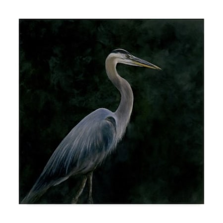 John Morrow 'Night Stalker ' Canvas Art,35x35